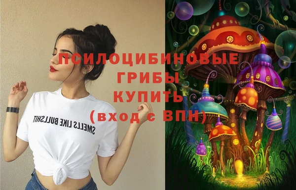 первитин Белоозёрский