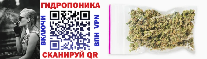 shop клад  Краснокамск  МАРИХУАНА OG Kush  закладки 